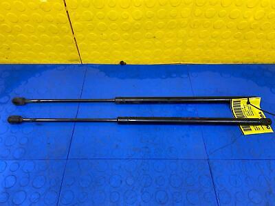 13 14 15 16 LINCOLN MKS Hood Lift Spport Strut Shock Set OEM AA5Z 54406A10-A 13 14 15 16 LINCOLN MKS Hood Lift Spport Strut Shock Set OEM AA5Z 54406A10-A