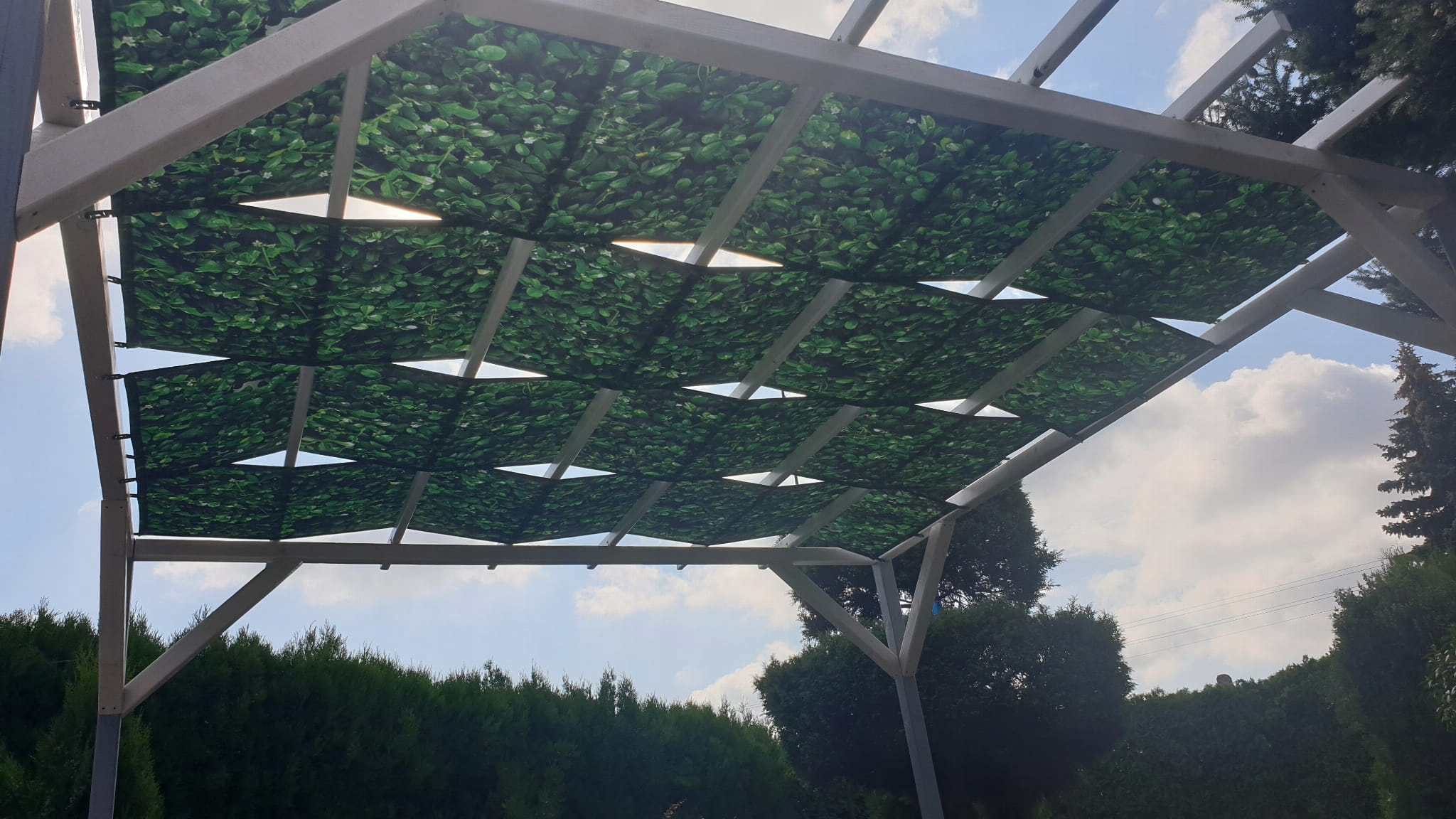 PAS ALTANOWY GRAFICZNY ŻAGIEL MARKIZA NA WYMIAR