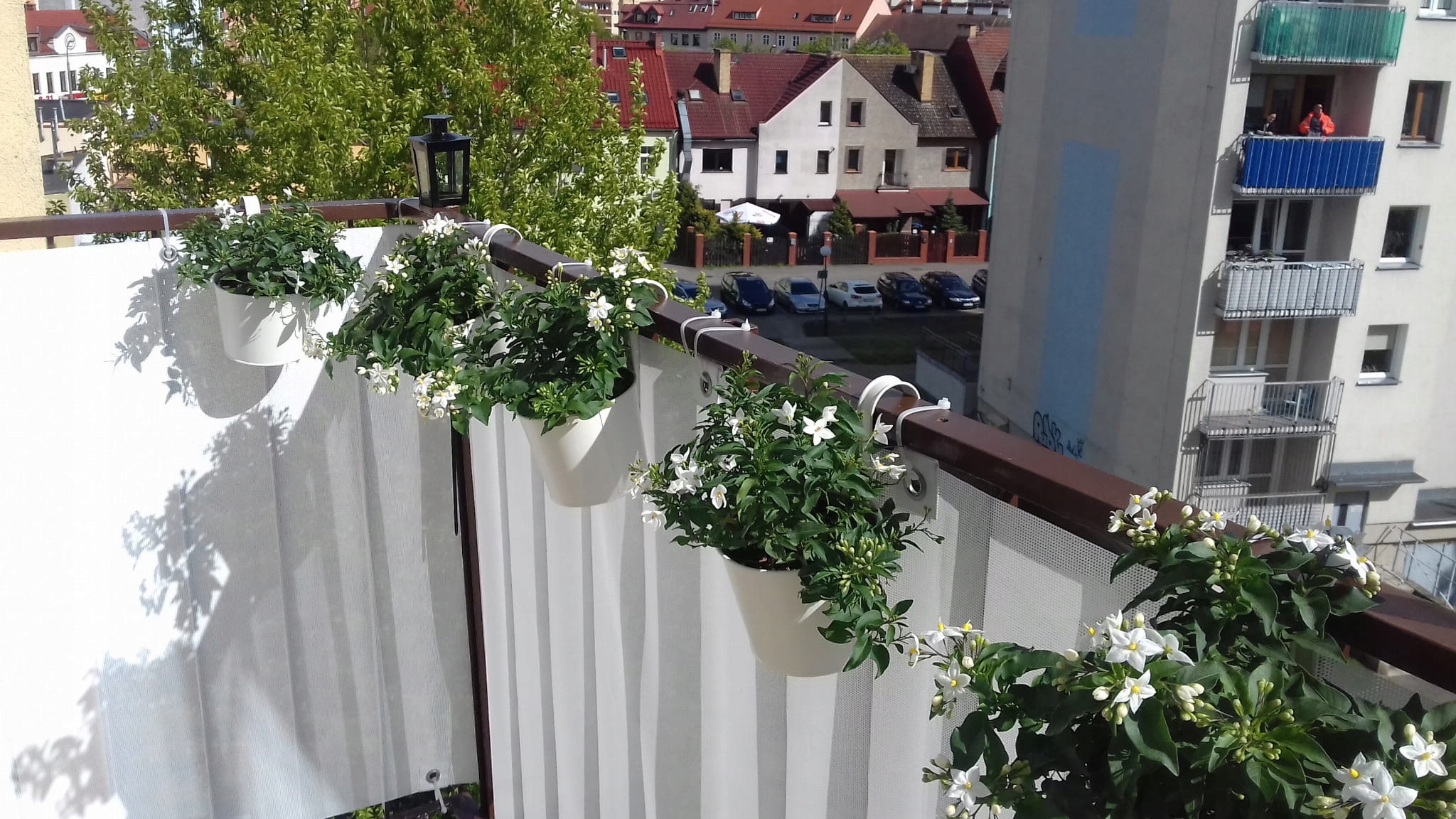 OPASKI ZACISKOWE TRYTYTKI DO MONTAŻU OSŁON MAT BALKONOWYCH