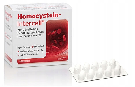 HOMOCYSTEIN - INTERCELL MODULATORY HOMOCYSTEINY