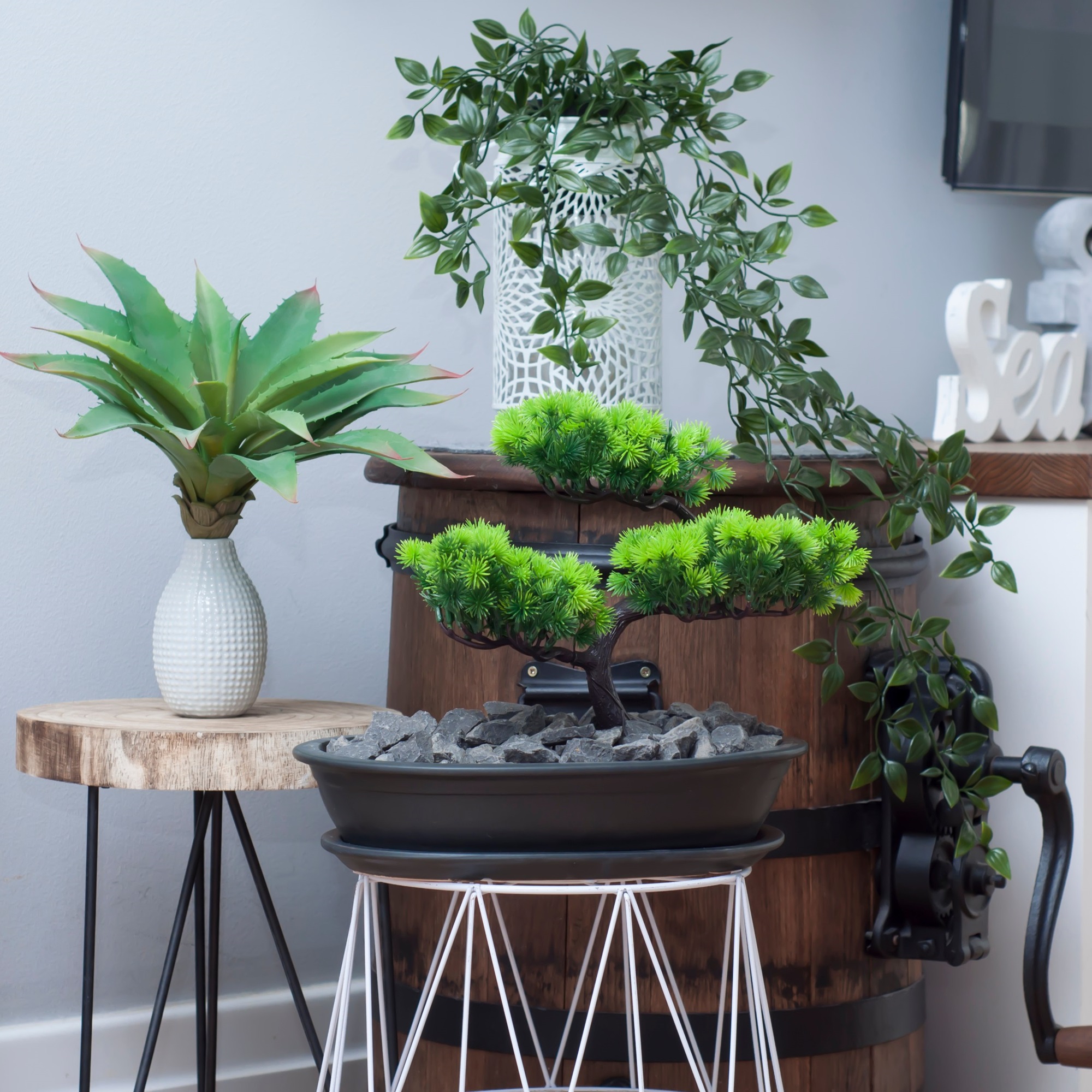 40 cm Bonsai Schale Baum Mini Garten Keramik Ton Blumentopf Untersetzer  schwarz | eBay.de