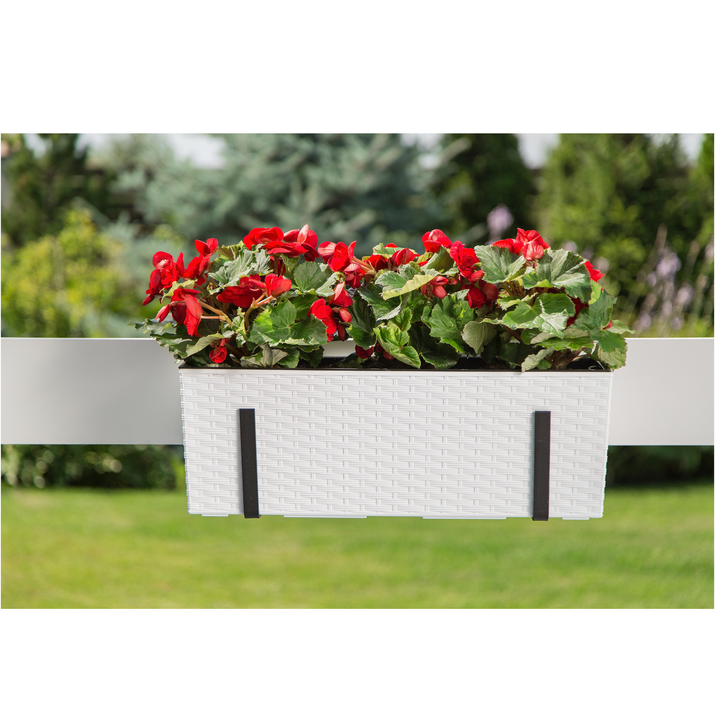 Blumenkasten Balkonkasten Halterung Struktur Einsatz 5 Farben Kunststoff 56  cm | eBay.de